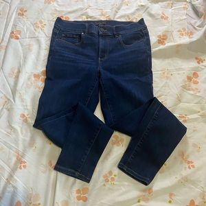 Ann Taylor The Skinny jeans denim stretch